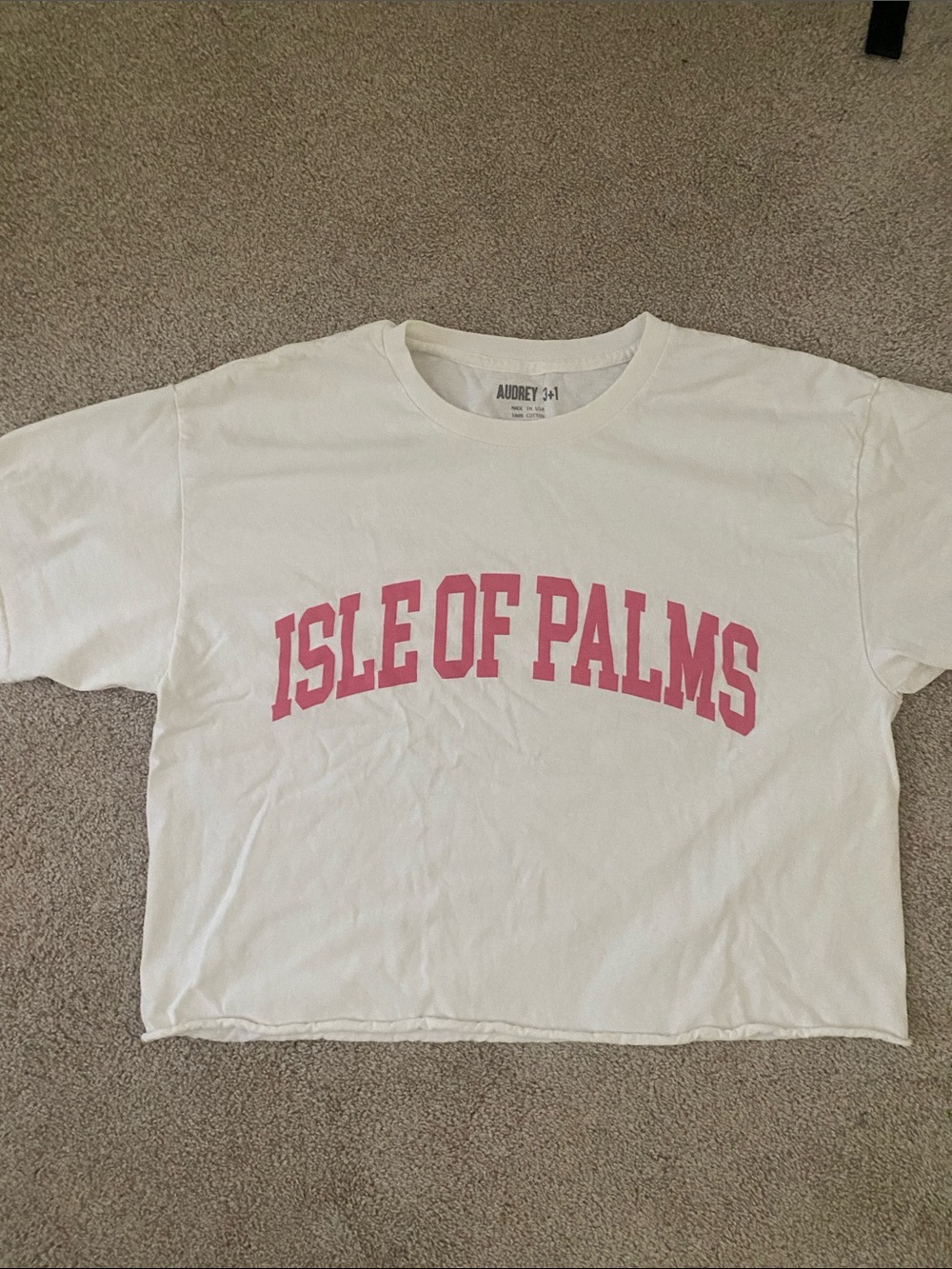 Audrey 3+1 White Tee with Pink "ISLE OF PALMS" Graphic